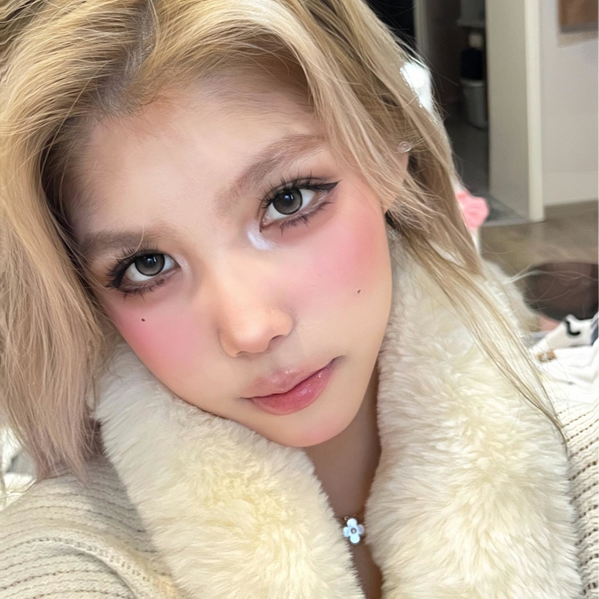 Honey Peach Grey Daily Disposable Lenses Dual Tone Fusion With Uv Protection