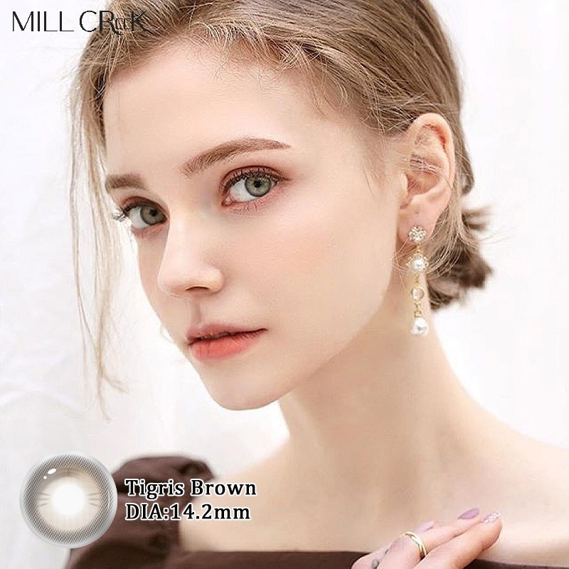 Brown Daily Disposable Lenses Grey High Comfort Level 14.2mm Diameter